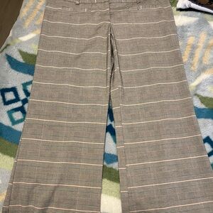 Tracy Evans Light Gray Striped Dress Pants